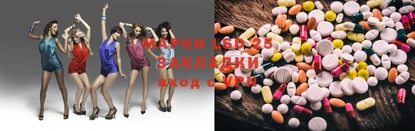 хмурый Алзамай