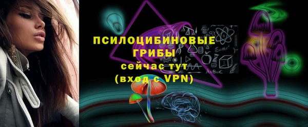 хмурый Алзамай