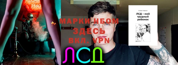 хмурый Алзамай