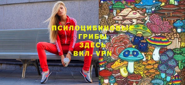 мет Алексин