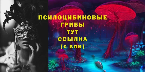 хмурый Алзамай